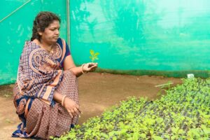 A woman farmer in traditional attire examines seedlings in a greenhouse, showcasing sustainable agriculture.