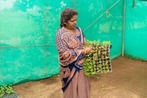 South Asian woman in a traditional saree tending to seedlings indoors.